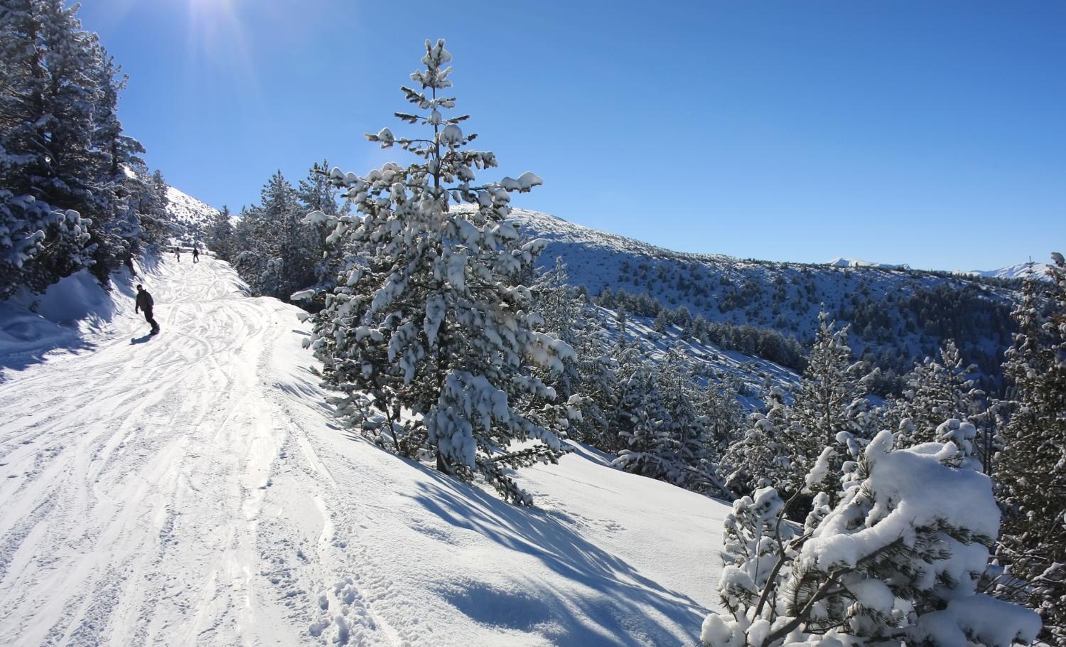 Pm Services Borovets Garden Apartments Εξωτερικό φωτογραφία