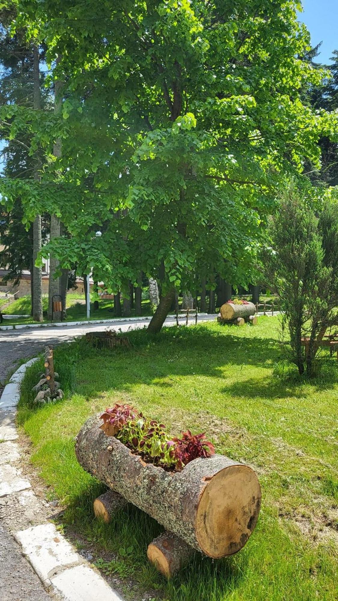 Pm Services Borovets Garden Apartments Εξωτερικό φωτογραφία