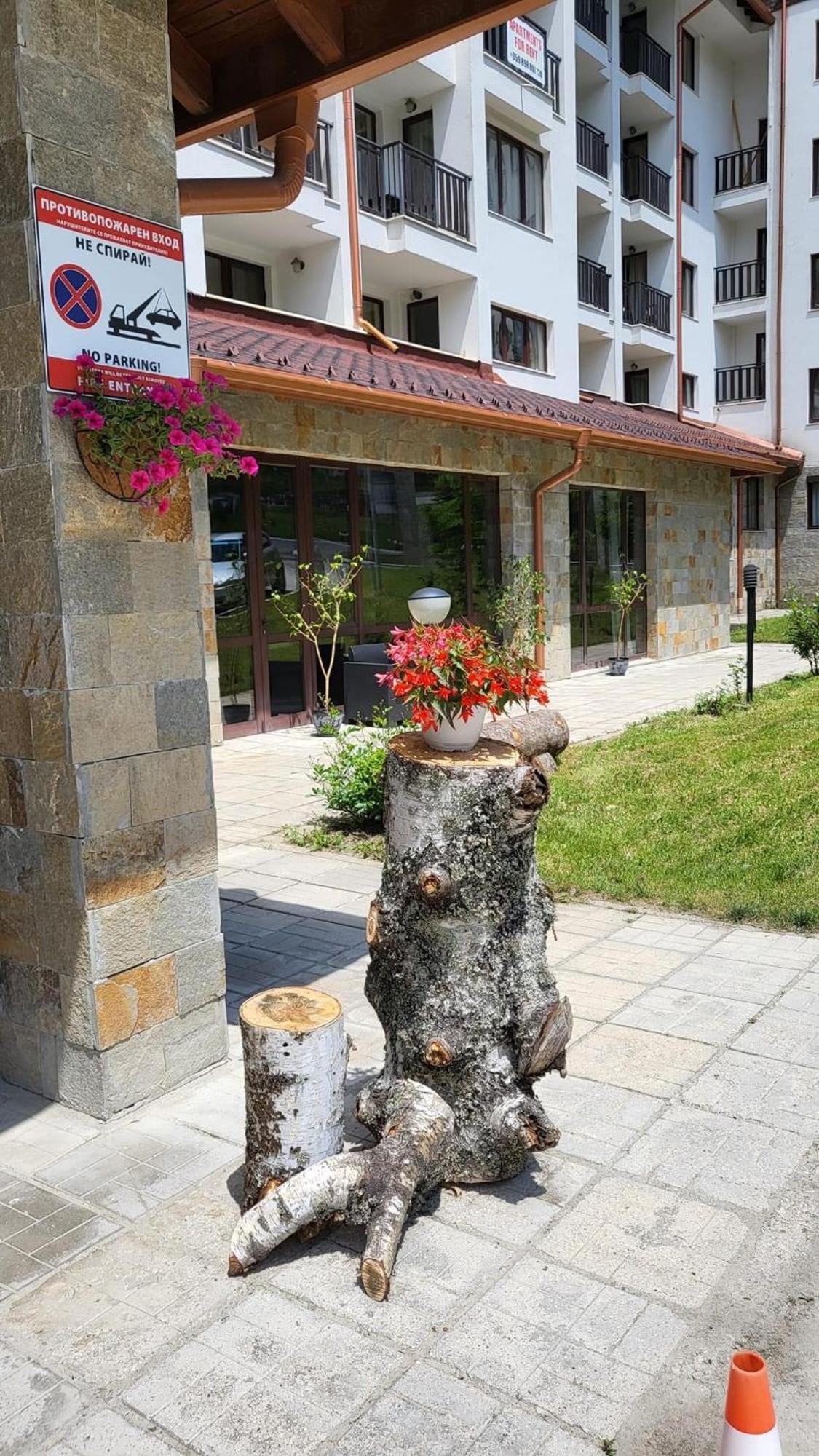 Pm Services Borovets Garden Apartments Εξωτερικό φωτογραφία